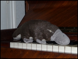 Aussi surnommé Platypus