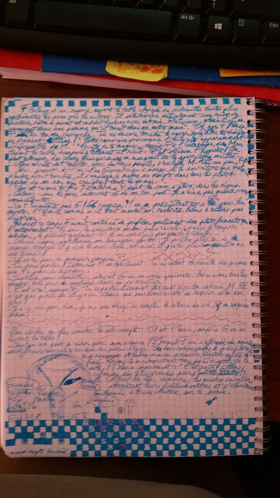 (La photo est floue, mais ce n'est pas de lire ce qui est écrit l'important, c'est l'apparence générale. Et encore, j'ai été sage.)